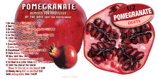 U2-Pomegranate-Front.jpg